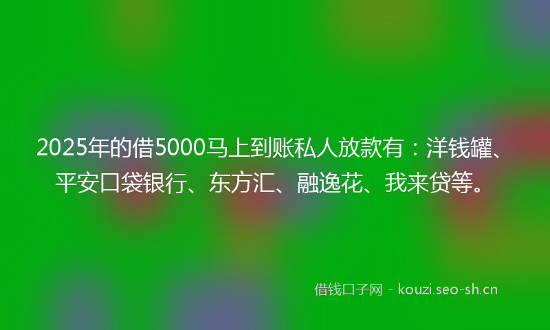 2025年的借5000马上到账私人放款有:洋钱罐、平安口袋银行、东方汇、融逸花、我来贷等。
