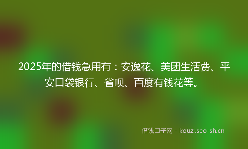 2025年的借钱急用有：安逸花、美团生活费、平安口袋银行、省呗、百度有钱花等。