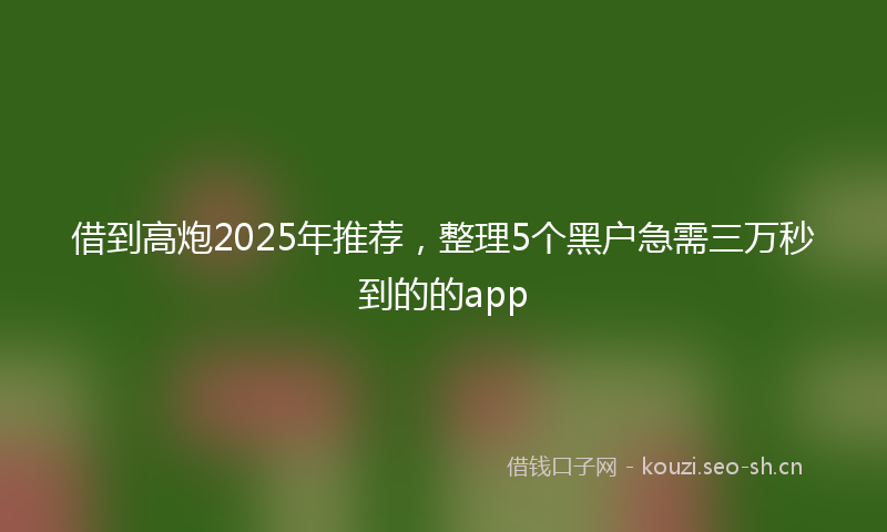 借到高炮2025年推荐，整理5个黑户急需三万秒到的的app