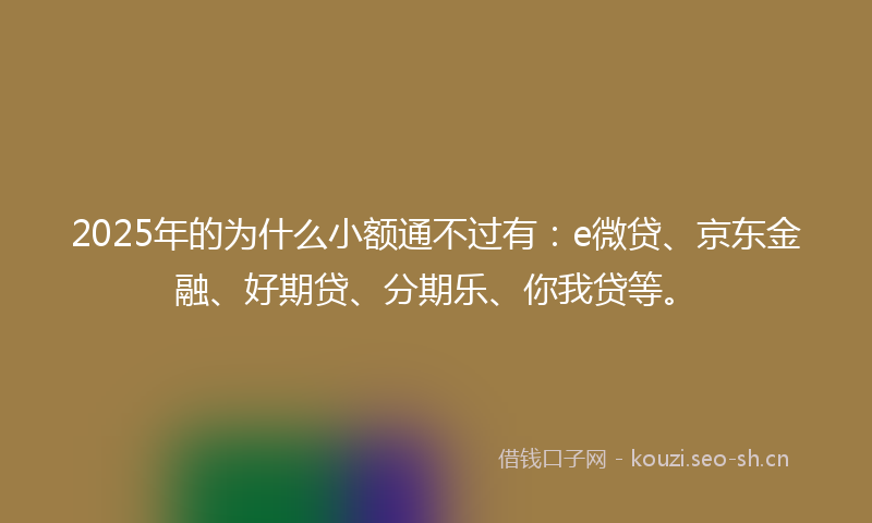 2025年的为什么小额通不过有：e微贷、京东金融、好期贷、分期乐、你我贷等。