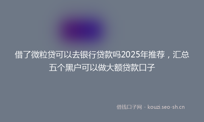 借了微粒贷可以去银行贷款吗2025年推荐，汇总五个黑户可以做大额贷款口子