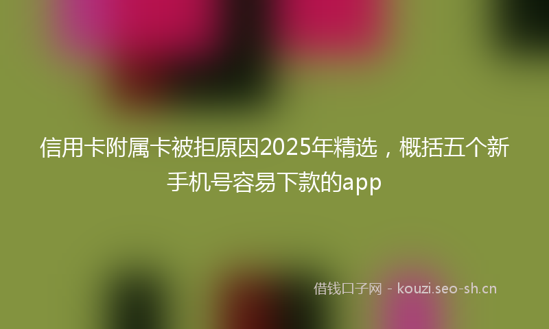 信用卡附属卡被拒原因2025年精选，概括五个新手机号容易下款的app