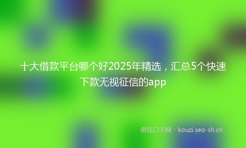 十大借款平台哪个好2025年精选，汇总5个快速下款无视征信的app