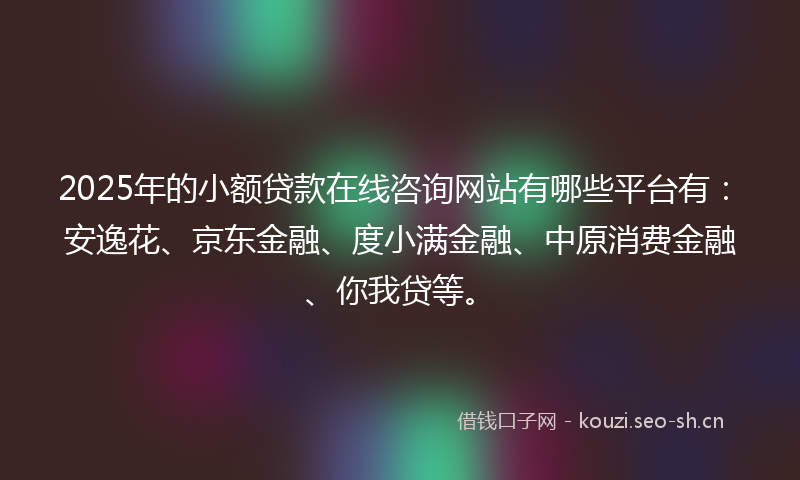 2025年的小额贷款在线咨询网站有哪些平台有：安逸花、京东金融、度小满金融、中原消费金融、你我贷等。