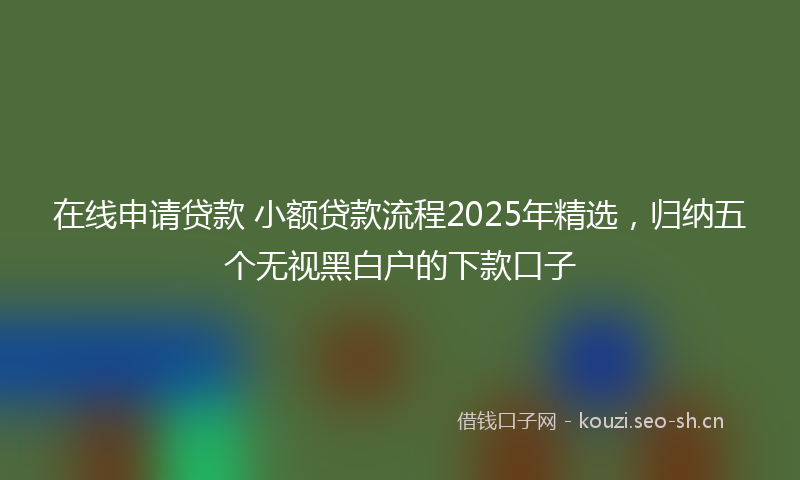 在线申请贷款 小额贷款流程2025年精选，归纳五个无视黑白户的下款口子