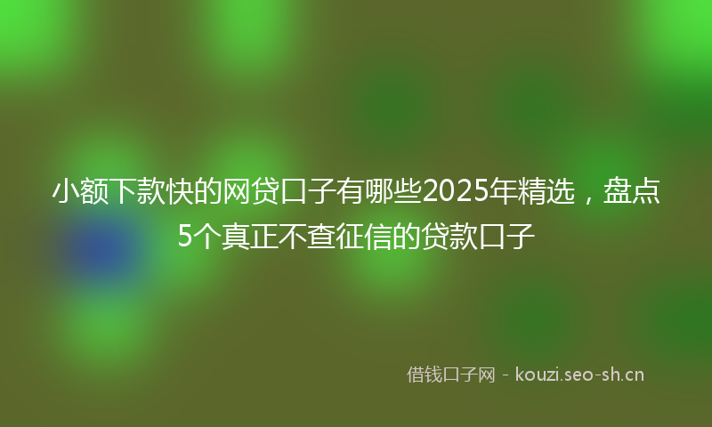 小额下款快的网贷口子有哪些2025年精选，盘点5个真正不查征信的贷款口子