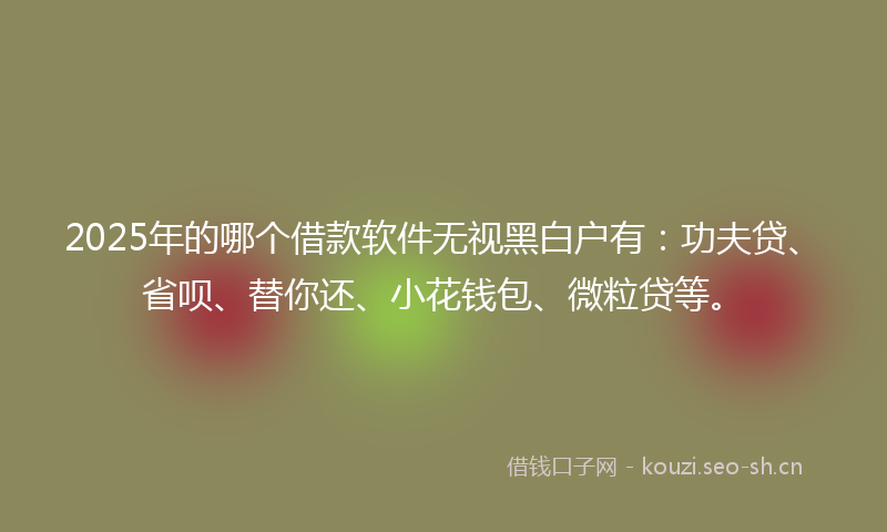 2025年的哪个借款软件无视黑白户有：功夫贷、省呗、替你还、小花钱包、微粒贷等。