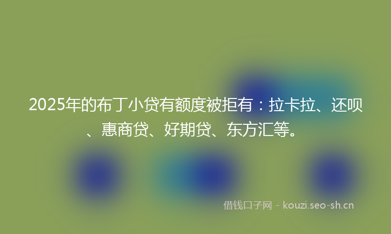 2025年的布丁小贷有额度被拒有：拉卡拉、还呗、惠商贷、好期贷、东方汇等。