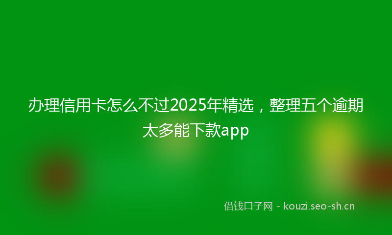 办理信用卡怎么不过2025年精选,整理五个逾期太多能下款app