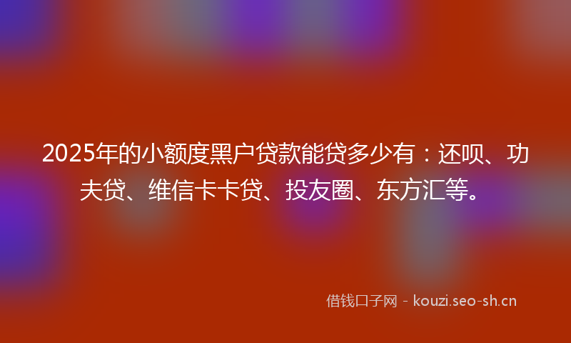 2025年的小额度黑户贷款能贷多少有：还呗、功夫贷、维信卡卡贷、投友圈、东方汇等。