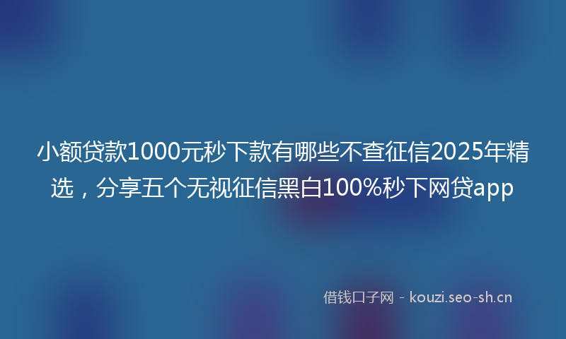 小额贷款1000元秒下款有哪些不查征信2025年精选，分享五个无视征信黑白100%秒下网贷app