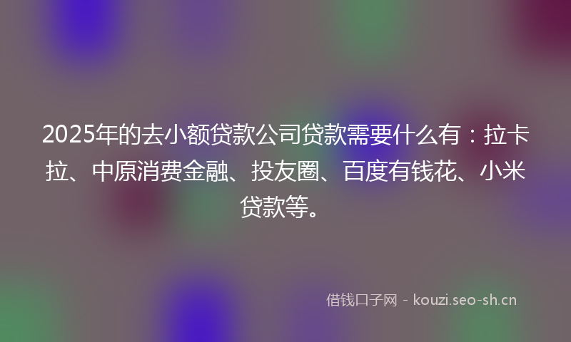 2025年的去小额贷款公司贷款需要什么有：拉卡拉、中原消费金融、投友圈、百度有钱花、小米贷款等。