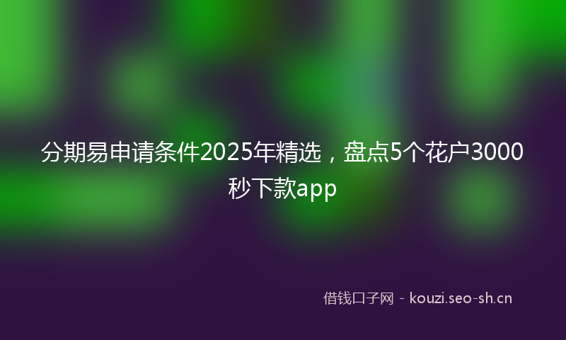 分期易申请条件2025年精选，盘点5个花户3000秒下款app
