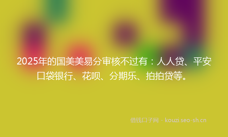 2025年的国美美易分审核不过有：人人贷、平安口袋银行、花呗、分期乐、拍拍贷等。