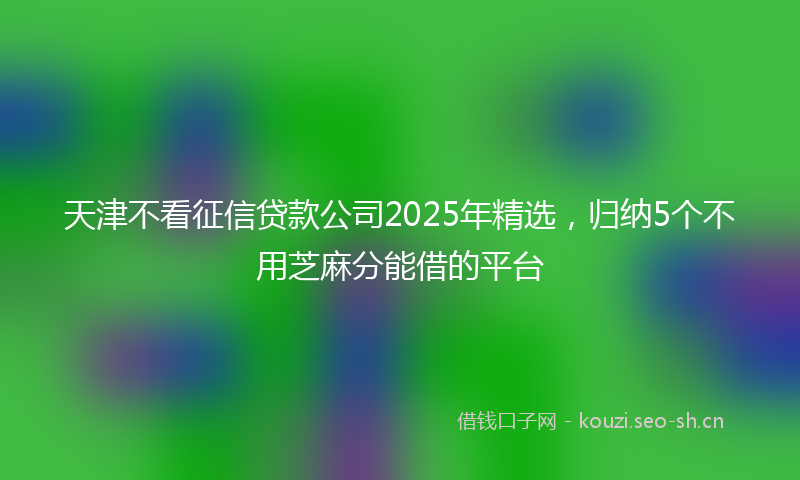 天津不看征信贷款公司2025年精选，归纳5个不用芝麻分能借的平台