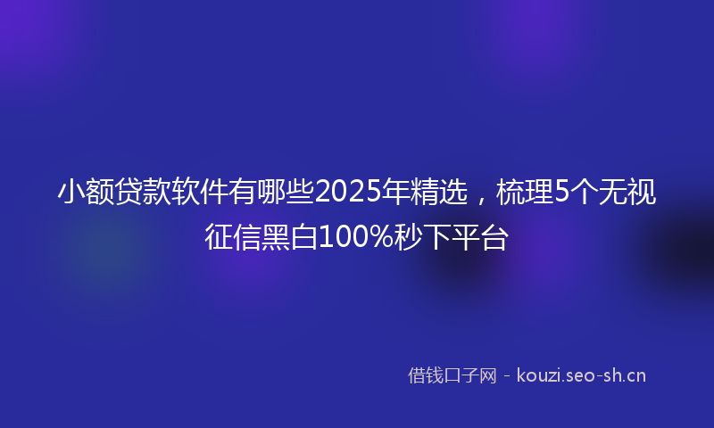 小额贷款软件有哪些2025年精选，梳理5个无视征信黑白100%秒下平台