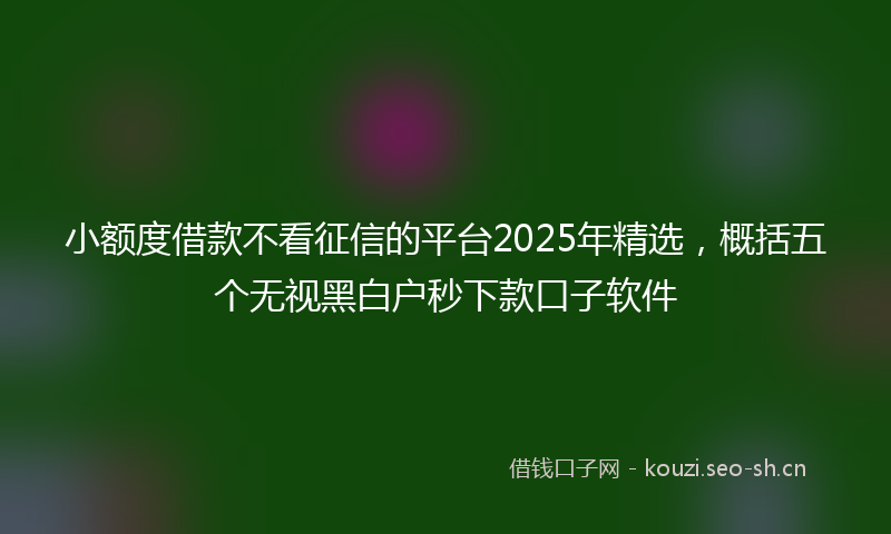 小额度借款不看征信的平台2025年精选，概括五个无视黑白户秒下款口子软件