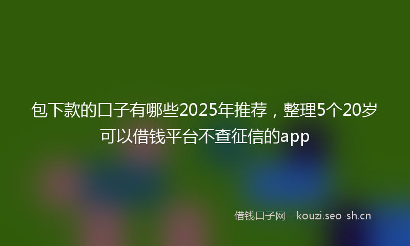 包下款的口子有哪些2025年推荐，整理5个20岁可以借钱平台不查征信的app