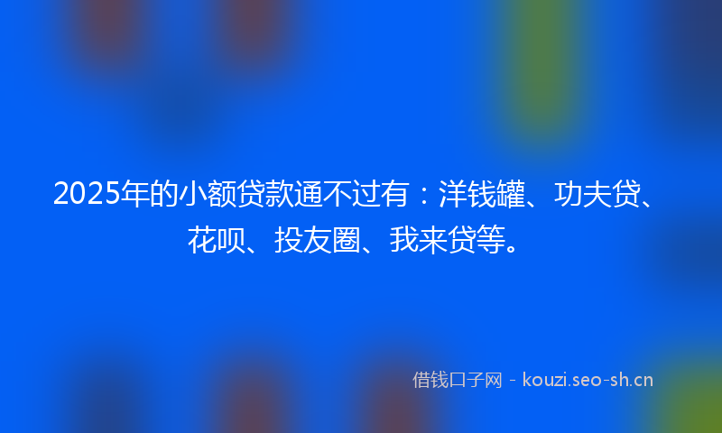 2025年的小额贷款通不过有：洋钱罐、功夫贷、花呗、投友圈、我来贷等。
