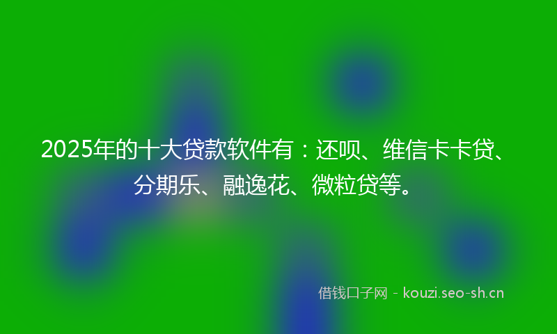 2025年的十大贷款软件有：还呗、维信卡卡贷、分期乐、融逸花、微粒贷等。