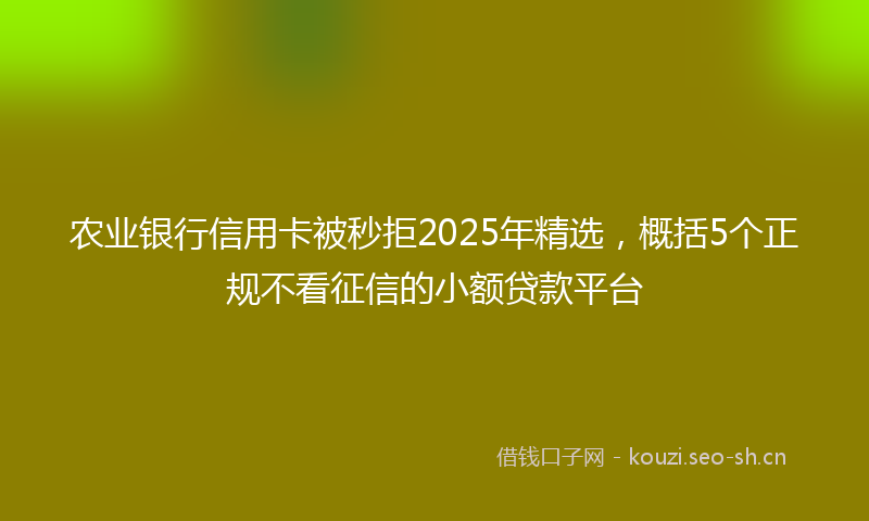 农业银行信用卡被秒拒2025年精选，概括5个正规不看征信的小额贷款平台