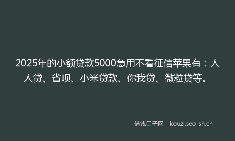 2025年的小额贷款5000急用不看征信苹果有：人人贷、省呗、小米贷款、你我贷、微粒贷等。
