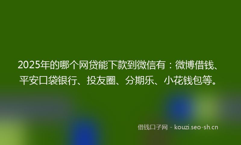 2025年的哪个网贷能下款到微信有：微博借钱、平安口袋银行、投友圈、分期乐、小花钱包等。