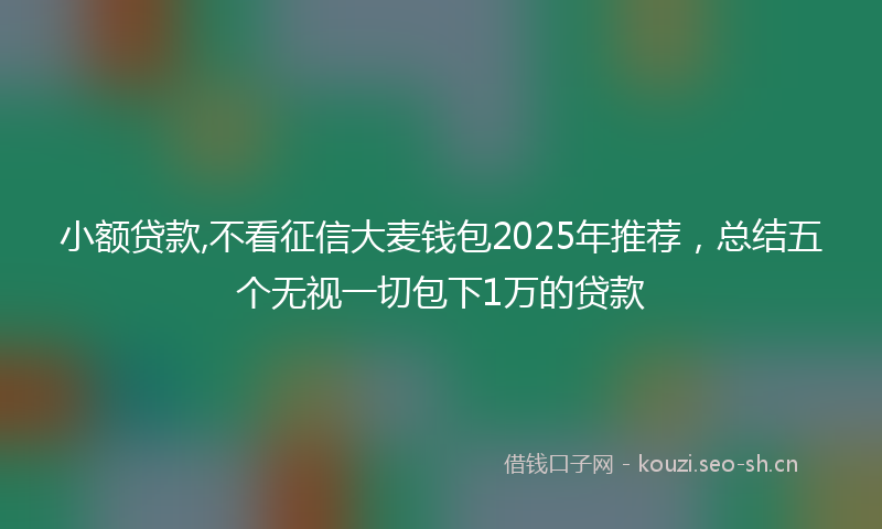 小额贷款,不看征信大麦钱包2025年推荐，总结五个无视一切包下1万的贷款