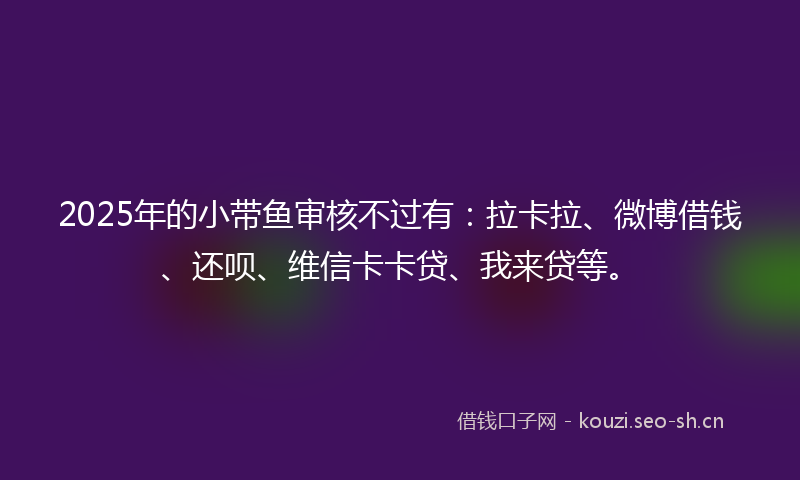 2025年的小带鱼审核不过有：拉卡拉、微博借钱、还呗、维信卡卡贷、我来贷等。