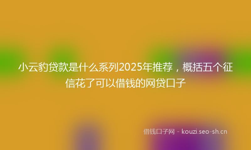 小云豹贷款是什么系列2025年推荐，概括五个征信花了可以借钱的网贷口子