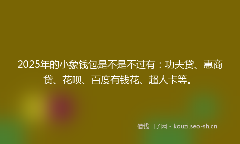 2025年的小象钱包是不是不过有：功夫贷、惠商贷、花呗、百度有钱花、超人卡等。