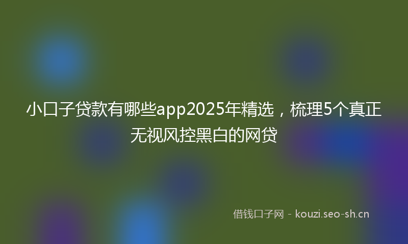 小口子贷款有哪些app2025年精选，梳理5个真正无视风控黑白的网贷