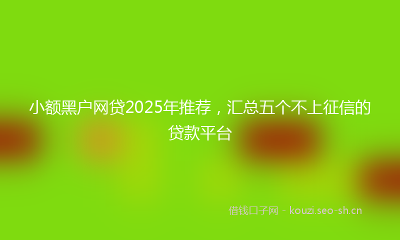 小额黑户网贷2025年推荐，汇总五个不上征信的贷款平台