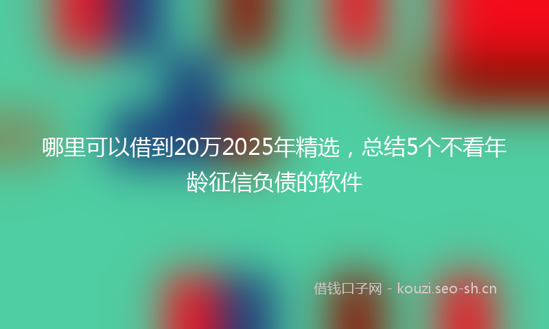 哪里可以借到20万2025年精选，总结5个不看年龄征信负债的软件