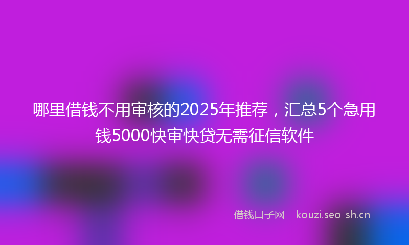 哪里借钱不用审核的2025年推荐，汇总5个急用钱5000快审快贷无需征信软件