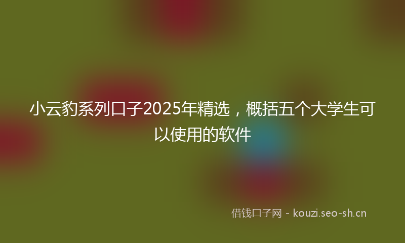 小云豹系列口子2025年精选，概括五个大学生可以使用的软件