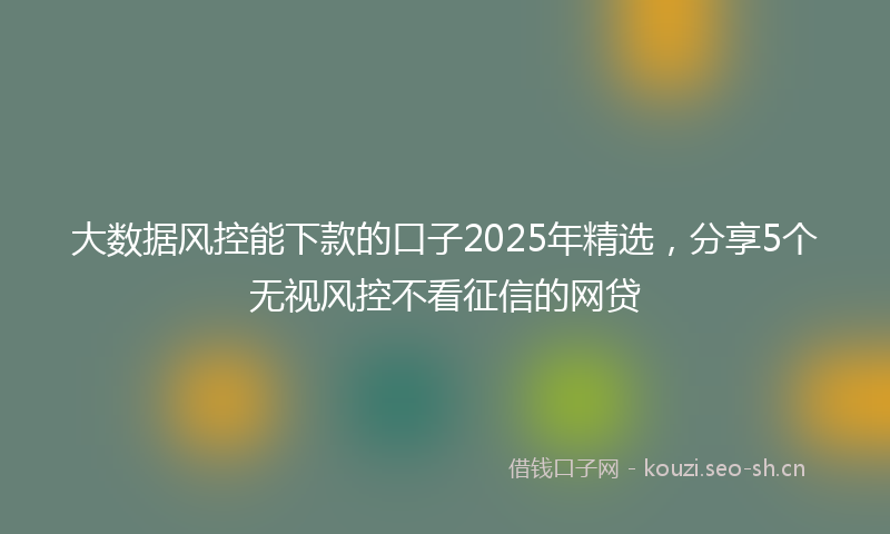大数据风控能下款的口子2025年精选，分享5个无视风控不看征信的网贷