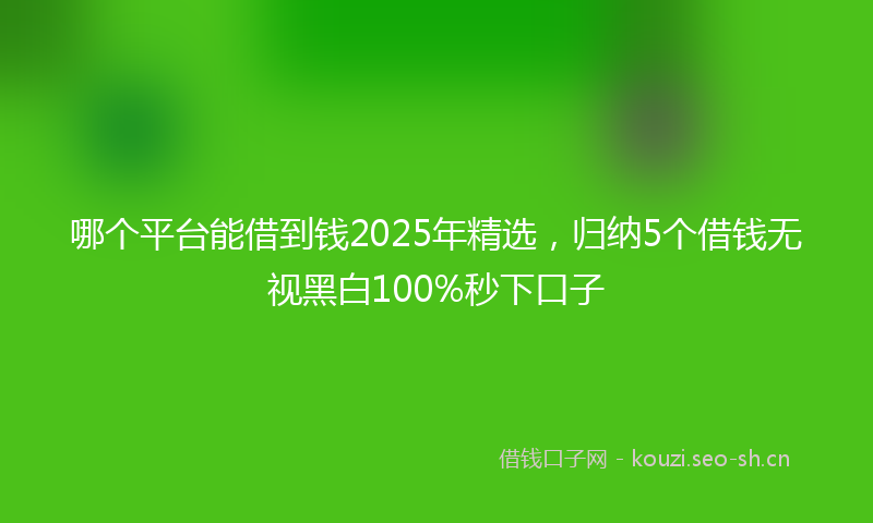 哪个平台能借到钱2025年精选，归纳5个借钱无视黑白100%秒下口子