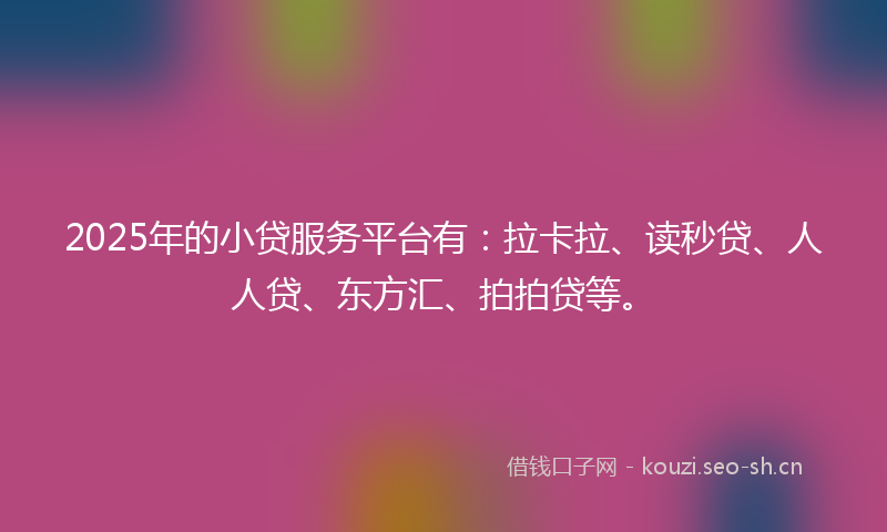 2025年的小贷服务平台有:拉卡拉、读秒贷、人人贷、东方汇、拍拍贷等。