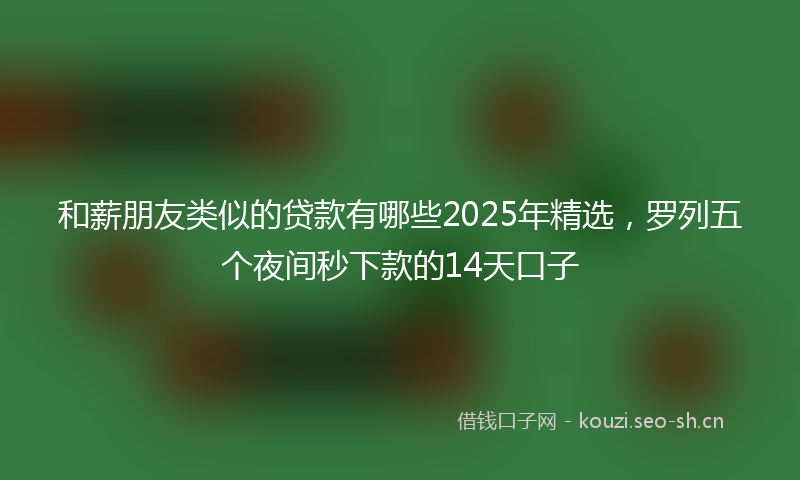 和薪朋友类似的贷款有哪些2025年精选，罗列五个夜间秒下款的14天口子