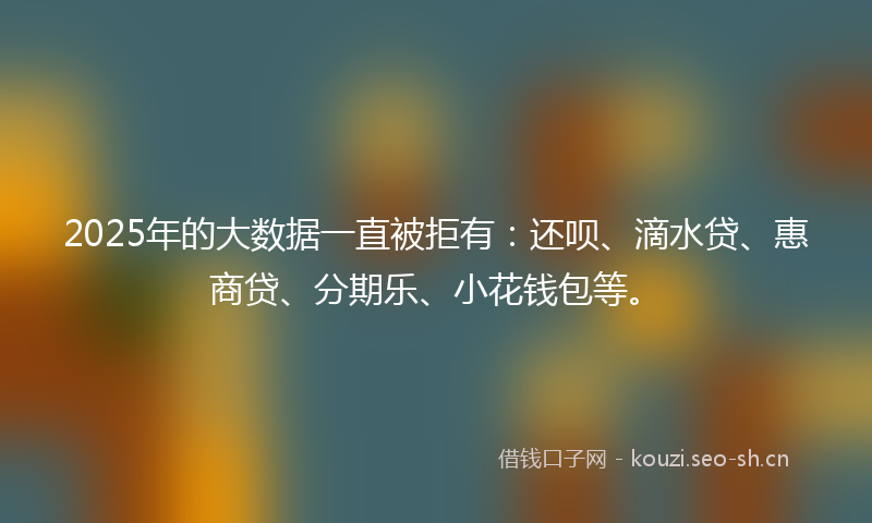 2025年的大数据一直被拒有:还呗、滴水贷、惠商贷、分期乐、小花钱包等。