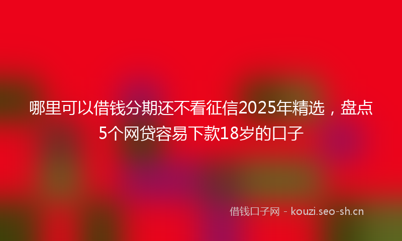 哪里可以借钱分期还不看征信2025年精选，盘点5个网贷容易下款18岁的口子