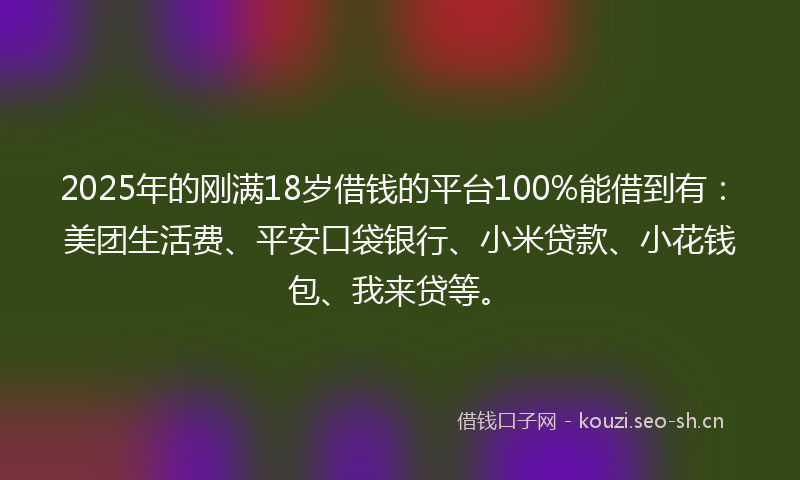 2025年的刚满18岁借钱的平台100%能借到有：美团生活费、平安口袋银行、小米贷款、小花钱包、我来贷等。