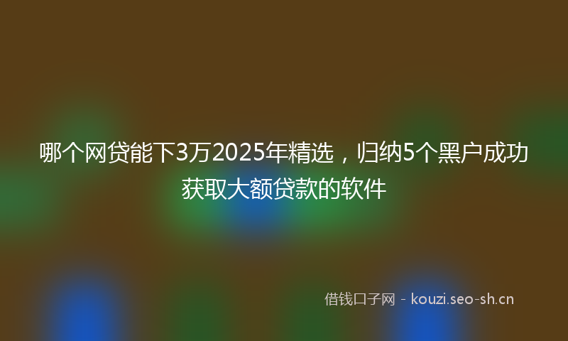 哪个网贷能下3万2025年精选，归纳5个黑户成功获取大额贷款的软件
