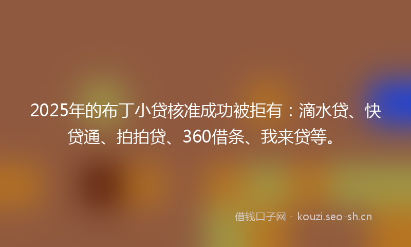 2025年的布丁小贷核准成功被拒有：滴水贷、快贷通、拍拍贷、360借条、我来贷等。