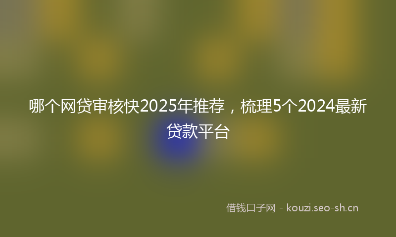 哪个网贷审核快2025年推荐，梳理5个2024最新贷款平台
