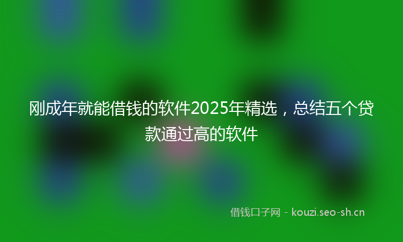 刚成年就能借钱的软件2025年精选，总结五个贷款通过高的软件