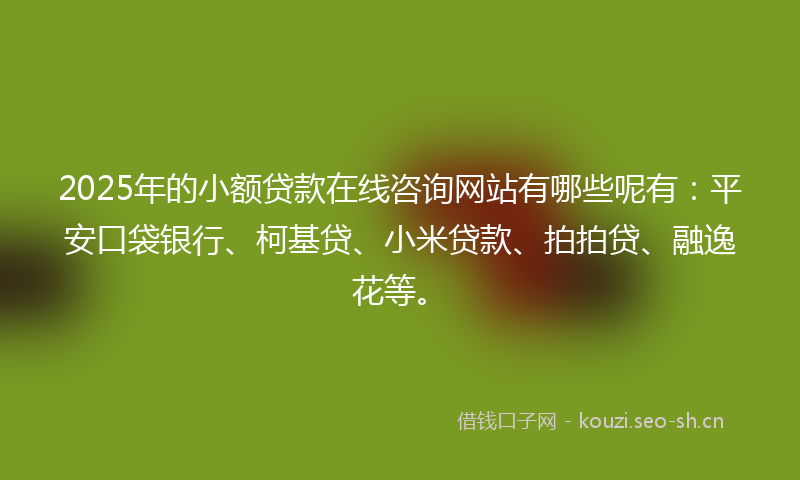 2025年的小额贷款在线咨询网站有哪些呢有：平安口袋银行、柯基贷、小米贷款、拍拍贷、融逸花等。