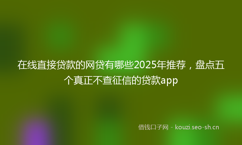 在线直接贷款的网贷有哪些2025年推荐，盘点五个真正不查征信的贷款app