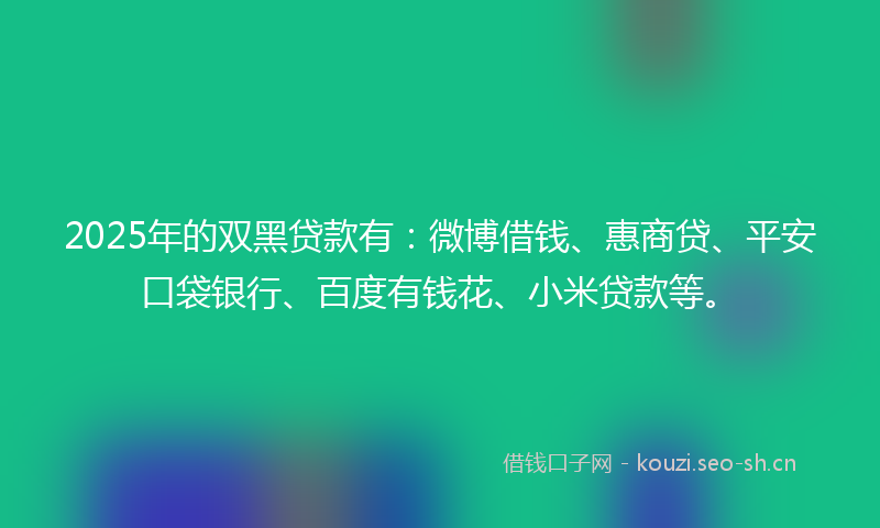 2025年的双黑贷款有：微博借钱、惠商贷、平安口袋银行、百度有钱花、小米贷款等。